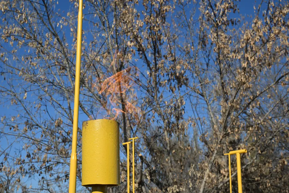 Тепло в каждый дом: села области Жетісу продолжают подключать к газу (2)