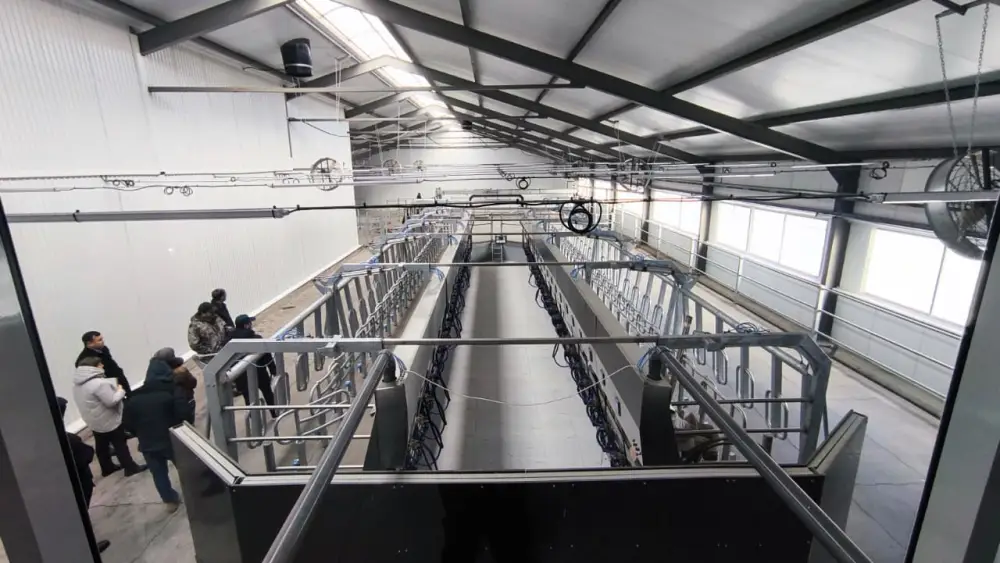 В Костанайской области запустили молочно-товарную ферму на 1200 голов (2)