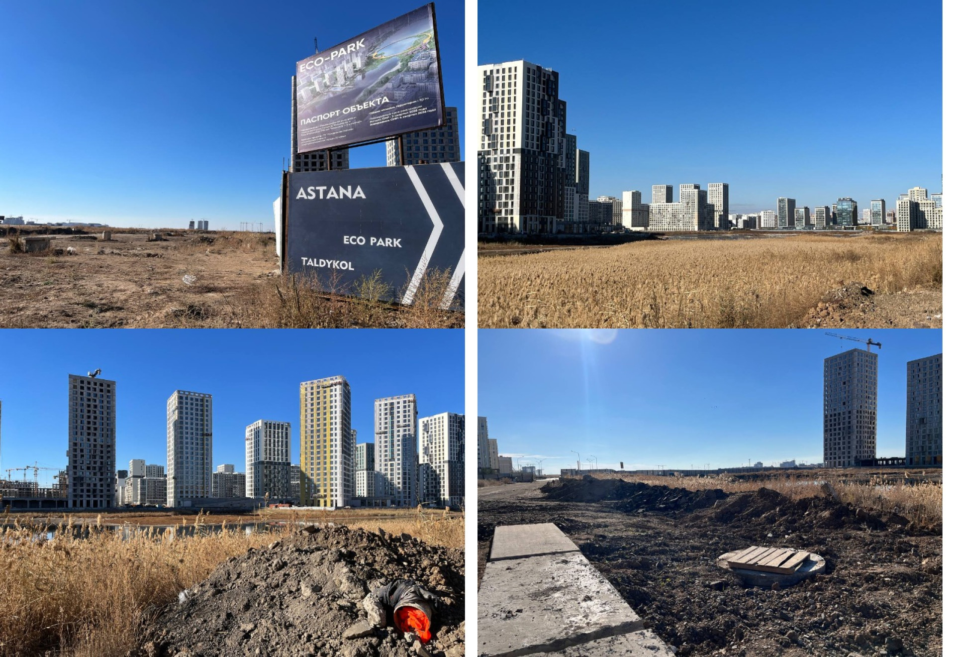 Место, где должны разбить эко-парк