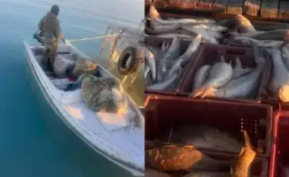 На озере Балхаш пойманы рыболовы-нарушители с богатым уловом