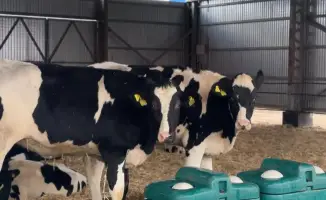 Государственная поддержка сельского хозяйства Актюбинской области 15 млрд тенге в 2025 году