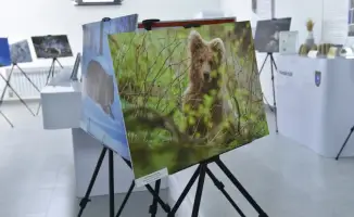 Создание Центрально-Азиатско — Германского института по охране экосистем в КазНУ: шаг к совместным исследованиям и сохранению биоразнообразия в регионе