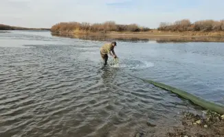 Зарыбление реки Селеты: шаг к восстановлению экосистемы Акмолинской области