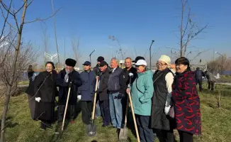 Посадка 2200 деревьев в Наурызбайском районе Алматы: шаг к восстановлению зелёных зон и улучшению экологии