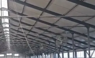 Внедрение современных технологий в молочное производство Павлодарской области: перспективы и влияние на региональную экономику