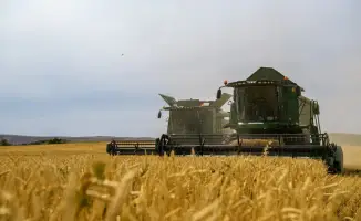 Жетісу: переработка продукции достигла 68%