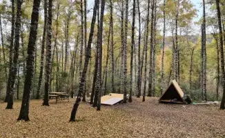 Алматы: растущий международный туристический центр Казахстана