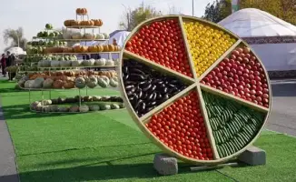 Праздник Алтын Күз 2025 в Ордабасе достижения сельского хозяйства и награждение работников