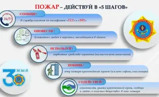 Как действовать в случае пожара: алгоритм от МЧС