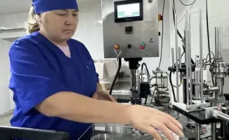 В Коксуском районе произведено сельхозпродукции на 30,5 млрд. тенге за 10 месяцев