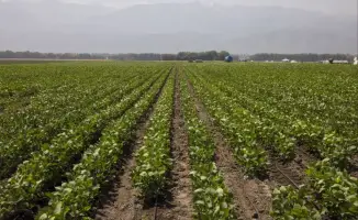 В Алматинской области сельхозпроизводители обсудили проблемы финансирования и субсидирования