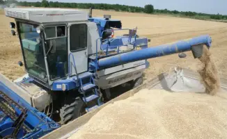 Казахстанское сельское хозяйство демонстрирует рост производства на 9,1% за десять месяцев