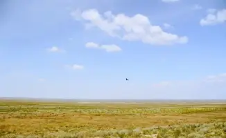 Абайская земля: возвращение к жизни на 101%!