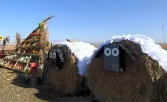 Фестиваль труда в Райымбекском районе: поддержка сельских работников и яркие мероприятия