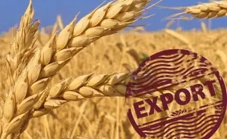 Казахстан увеличил экспорт нового урожая зерна на 11% в 2025 году