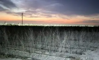 Создание питомника в Туркестане: шаг к улучшению городской экологии и комфорту жителей
