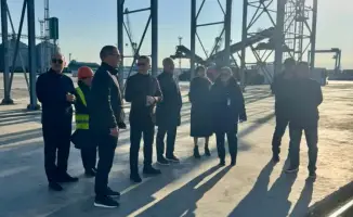 Международные стандарты фитосанитарного контроля: проверка постов в Актау