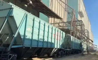 Транзит казахстанской пшеницы в Армению открывает новые торговые горизонты