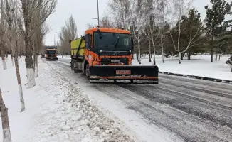 Эффективная снегоуборочная кампания в Астане: более 67000 кубометров снега вывезено за зиму