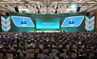 А. Сапаров: Животноводство — ключ к процветанию аграрного сектора