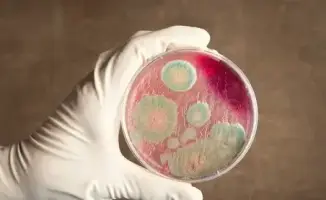 Байсерке: сибирская язва под контролем