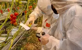 Введение платной фитосанитарной экспертизы: новые перспективы для продовольственной безопасности Казахстана