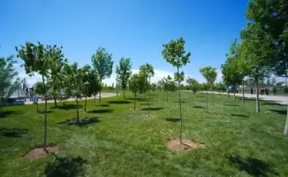 ТУРКЕСТАН: Гражданская активность в уборке улиц — 40 тысяч участников и 186 тонн вывезенного мусора