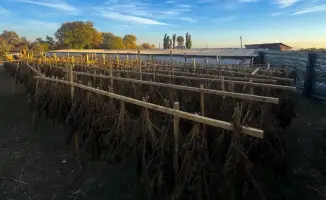 Борьба с наркотиками в нашем регионе