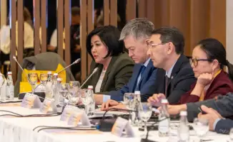 Международная конференция в Алматы: совместные усилия по борьбе с бытовым насилием в Центральной Азии