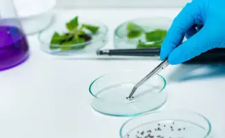 Введение платной карантинной фитосанитарной экспертизы в Казахстане: повышение качества услуг и прозрачности процедур