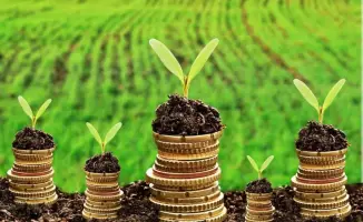 Субсидии в Казахстане: погашение задолженности продолжается