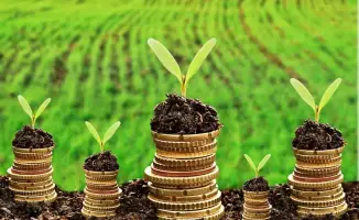 Льготное кредитование в аграрном секторе: новые возможности для фермеров Казахстана