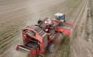 Жетісу: заявки на дизтопливо до 30 декабря