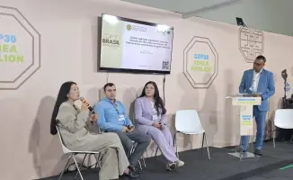 Синергия Рио-конвенций: Центральная Азия в контексте глобальных инициатив по восстановлению лесов и борьбе с деградацией земель