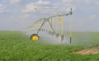 Туркестан: как фермеры растят успех в засухе?