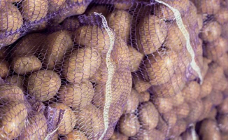 Рост цен на картофель: причины и планы Минсельхоза