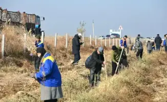 Субботник в Жетысай 7000 саженцев программа Таза Қазақстан