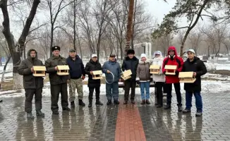 В Караганде в парке Майкудука установлены кормушки для птиц в рамках экологической акции