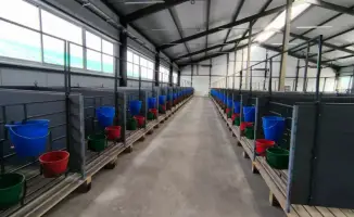 В Костанайской области открыта молочно-товарная ферма на 1200 голов крупного рогатого скота