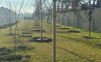 Зеленый оазис в Алматы: что дальше?