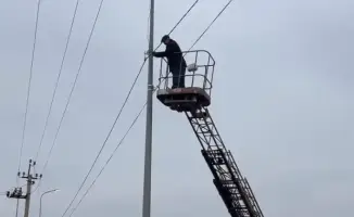 Стабильное электроснабжение для 2663 домов в Сайраме: итоги обновления электрических сетей