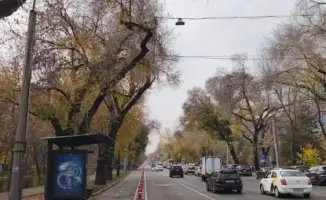 Демонтаж боллардов в Алматы: последствия для зимней безопасности на дорогах