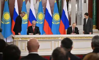 Международное сотрудничество: Россия передает амурских тигров в Казахстан для сохранения исчезающего вида