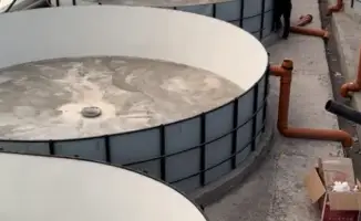 В Восточно-Казахстанской области начнётся строительство рыбоводческого комплекса, который будет производить 50 тонн рыбы в год