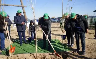 В Казыгуртском районе высажено более 5000 деревьев в рамках программы «Таза Қазақстан»