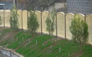 В Келесе прошла акция по посадке деревьев с участием ветеранов и волонтеров