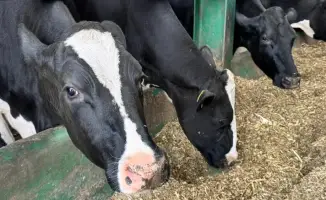 Изменения в субсидиях для казахстанских фермеров