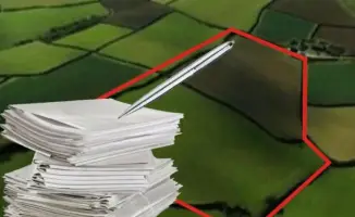 В Абайской области выявлено незаконное использование государственного земельного участка, нарушитель привлечен к ответственности