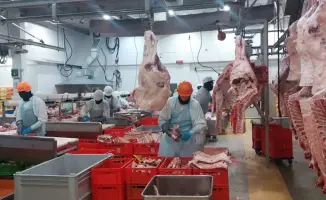 Рост экспортного потенциала Казахстана: четыре предприятия получили доступ к рынку ОАЭ