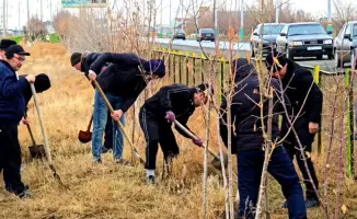 Зеленая волна: Кызылординская область очищается и обновляется